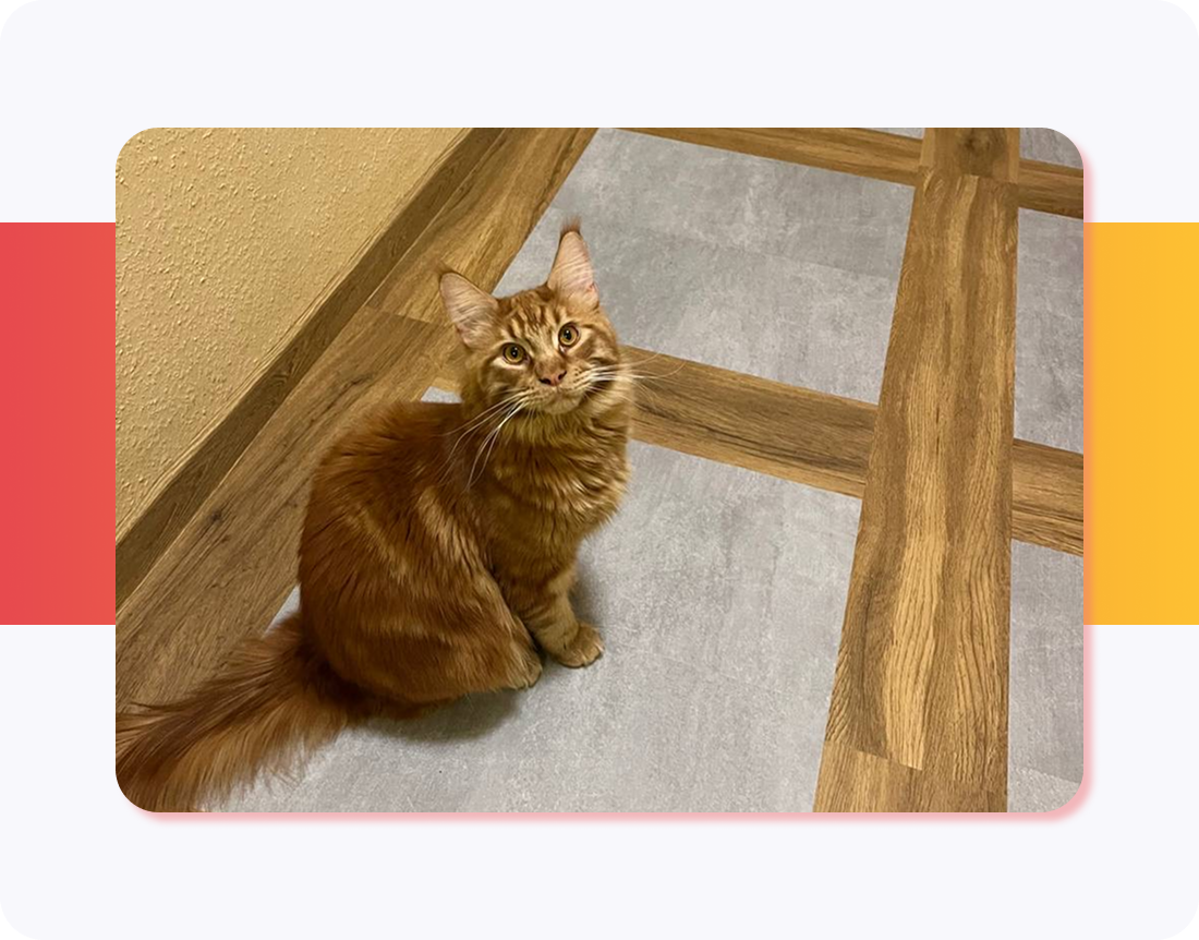 Укладка ПВХ и LVT-плитки в квартире